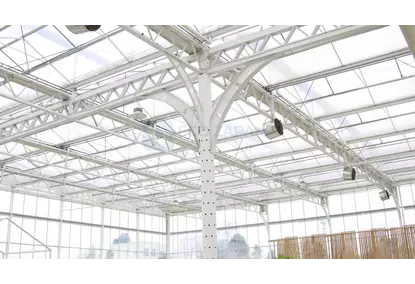 Теплицы по технологии VENLO Теплицы по технологии VENLO